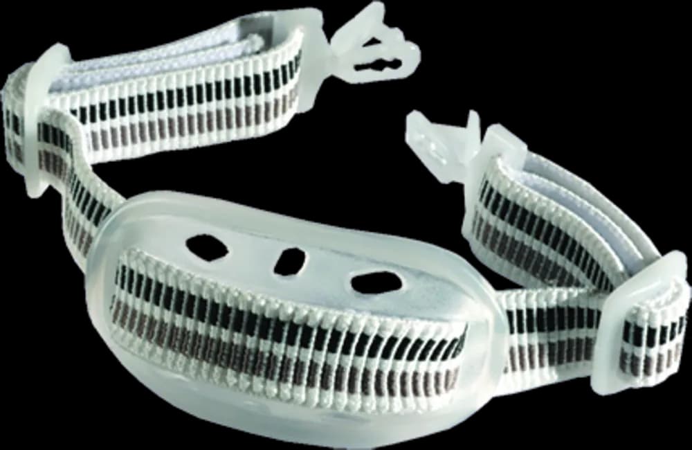 Centurion Chinstrap 2-point